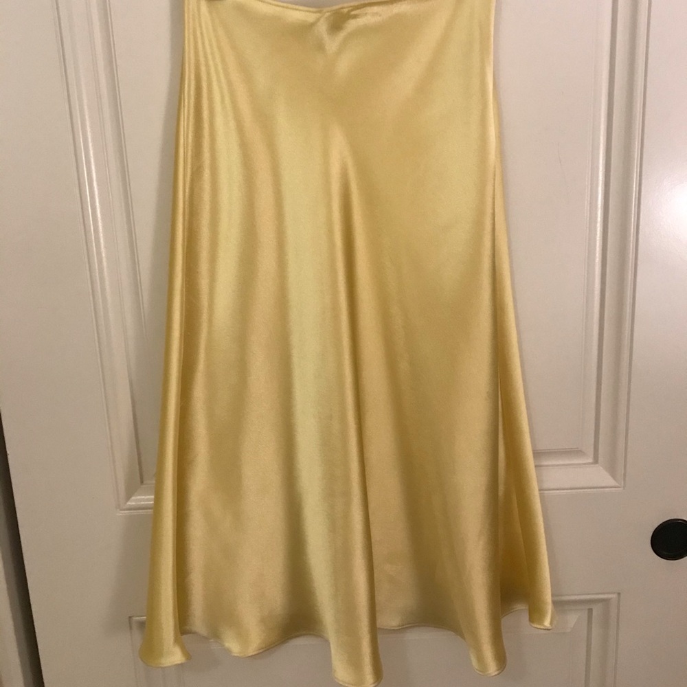 Zara maxi skirt